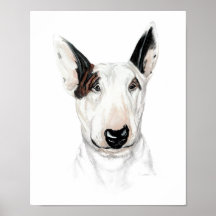Busto de bull terrier poster