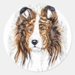 Busto del perro pastor de Sheltie Shetland Pegatina