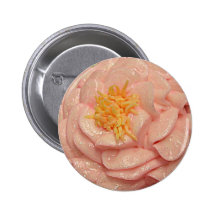 buttercream subió pin