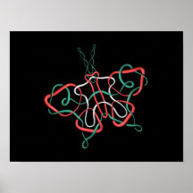 butterfly3z poster