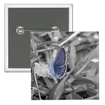 Butterfly Botones