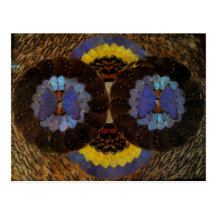 butterflycraft tarjetas postales