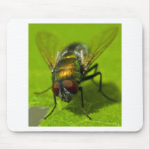¡BUZZZZZZZ! TAPETE DE RATON