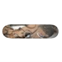 c8540dc1892a4e34 - Modificado para requisitos part Patines Personalizados