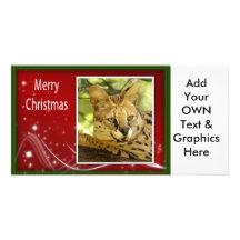 c-2011-african-serval-009 tarjeta con foto personalizada