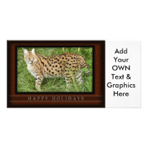 c-2011-african-serval-039 tarjetas fotograficas personalizadas