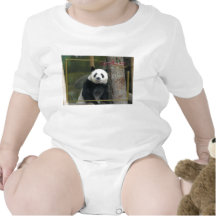 c-2011-panda-0002 camisetas