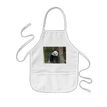 c-2011-panda-0002 delantal