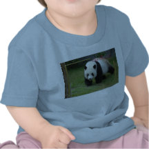 c-2011-panda-0003 camiseta