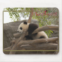 c-2011-panda-0004 alfombrilla de ratones