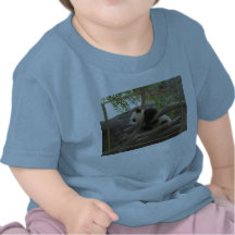 c-2011-panda-0004 camiseta