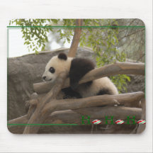 c-2011-panda-0005 tapetes de raton