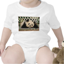 c-2011-panda-0006 camisetas