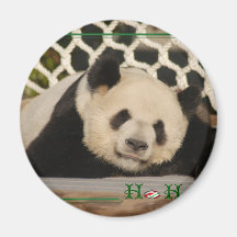 c-2011-panda-0006 iman de frigorífico
