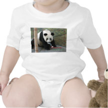 c-2011-panda-0008 camiseta