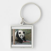 c-2011-panda-0008 llaveros personalizados