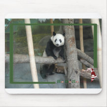 c-2011-panda-0012 tapetes de raton