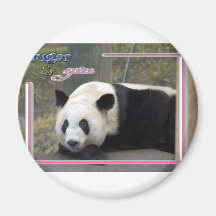 c-2011-panda-0016 imán para frigorífico