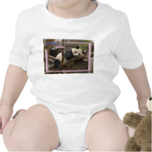 c-2011-panda-0018 traje de bebé