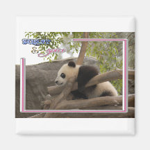 c-2011-panda-0019 imán para frigorífico