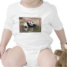 c-2011-panda-0020 camisetas