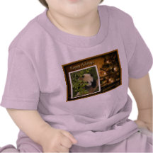 c-2011-panda-0031 camisetas