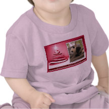 c-2011-panda-0037 camisetas