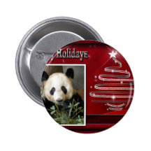 c-2011-panda-0038 pins