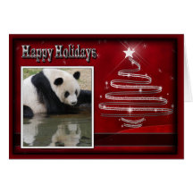 c-2011-panda-0039 felicitaciones