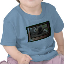 c-2011-panda-0051 camisetas