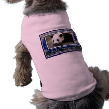 c-2011-panda-0056 camisas de mascota