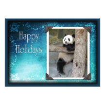 c-2011-panda-0057 comunicado personalizado