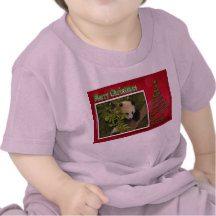 c-2011-panda-0060 camisetas