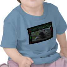 c-2011-panda-0062 camiseta