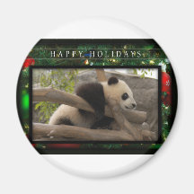 c-2011-panda-0062 imán de frigorífico