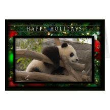 c-2011-panda-0062 tarjetón