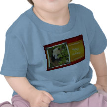 c-2011-panda-0067 camiseta
