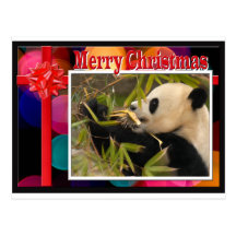 c-2011-panda-0077 tarjeta postal