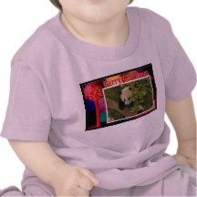 c-2011-panda-0078 camiseta
