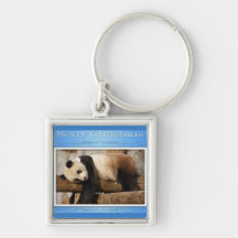 c-2011-panda-0086 llaveros personalizados