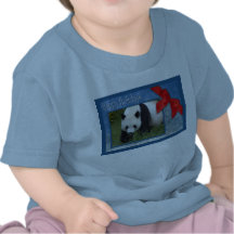 c-2011-panda-0087 camisetas