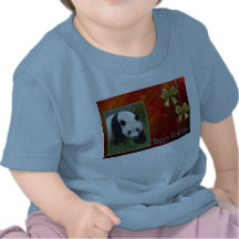 c-2011-panda-0089 camisetas