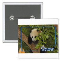 c-2011-panda-0093 pins