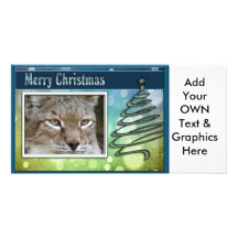 c-2011-siberian-lynx-008 tarjeta personal con foto