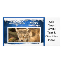 c-2011-siberian-lynx-026 tarjeta fotografica personalizada