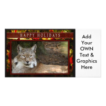 c-2011-siberian-lynx-033 tarjeta fotográfica