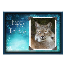 c-2011-siberian-lynx-036 anuncio