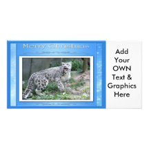 c-2011-snow-leopard-038 tarjeta personal con foto