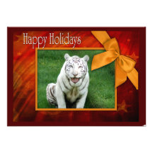 c-2011-white-tiger-017 anuncios  