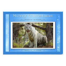 c-2011-white-tiger-019 anuncios personalizados